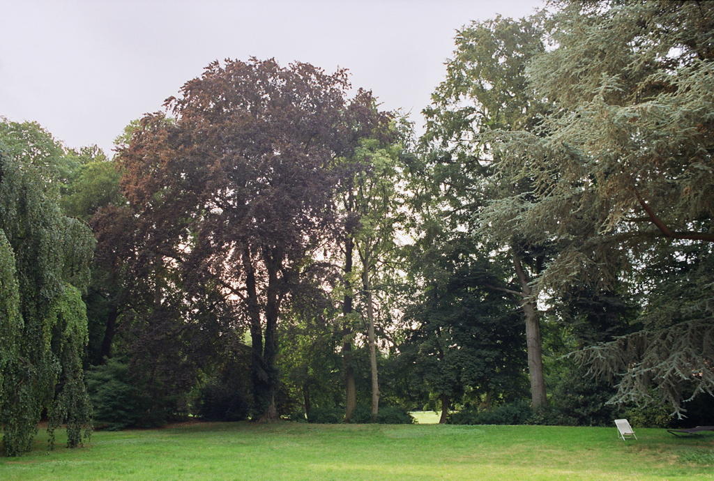 Bed and Breakfast Manoir Les Cèdres Corbehem Esterno foto